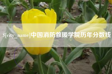 克孜勒苏中国消防救援学院历年分数线