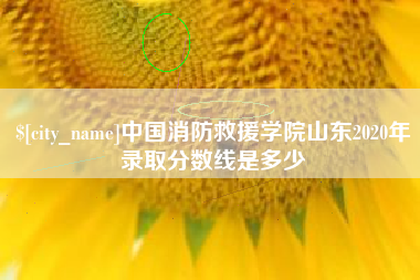 克孜勒苏中国消防救援学院山东2020年录取分数线是多少