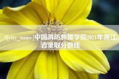 克孜勒苏中国消防救援学院2021年浙江省录取分数线