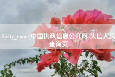 克孜勒苏中国执政信息公开网-失信人员查询页