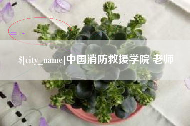 克孜勒苏中国消防救援学院 老师
