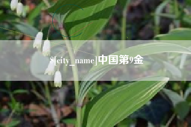 克孜勒苏中国第9金