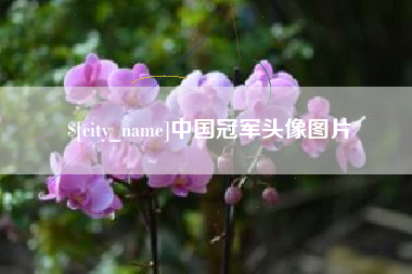 克孜勒苏中国冠军头像图片