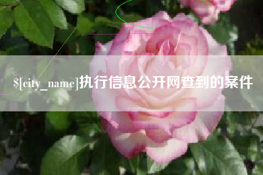 克孜勒苏执行信息公开网查到的案件
