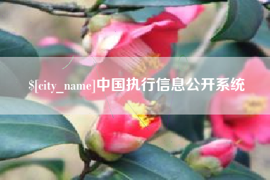 克孜勒苏中国执行信息公开系统