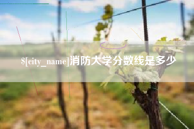 克孜勒苏消防大学分数线是多少