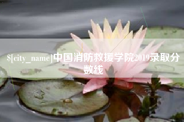 克孜勒苏中国消防救援学院2019录取分数线