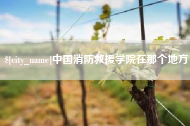 克孜勒苏中国消防救援学院在那个地方