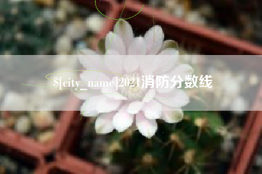 克孜勒苏2021消防分数线