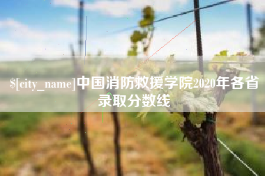 克孜勒苏中国消防救援学院2020年各省录取分数线