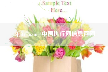 克孜勒苏中国执行网信息官网