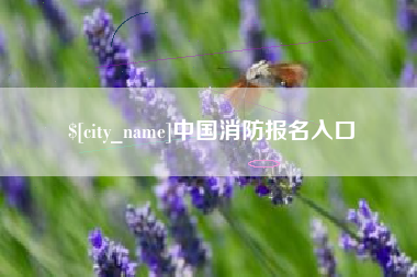 克孜勒苏中国消防报名入口
