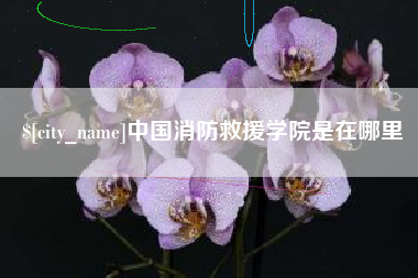 克孜勒苏中国消防救援学院是在哪里