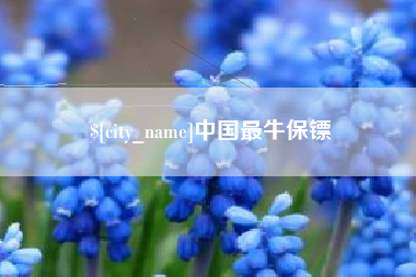 克孜勒苏中国最牛保镖