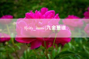 克孜勒苏九金是谁