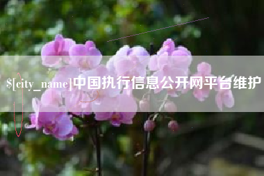 克孜勒苏中国执行信息公开网平台维护