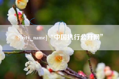 克孜勒苏“中国执行公开网”