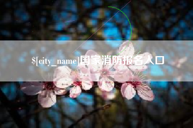 克孜勒苏国家消防报名入口