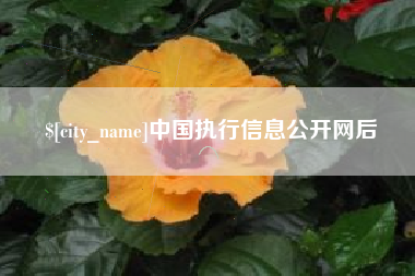 克孜勒苏中国执行信息公开网后