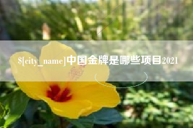 克孜勒苏中国金牌是哪些项目2021