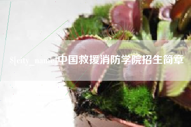 克孜勒苏中国救援消防学院招生简章