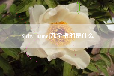 克孜勒苏九金指的是什么