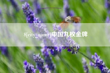 克孜勒苏中国九枚金牌