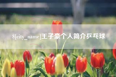 克孜勒苏王子豪个人简介乒乓球