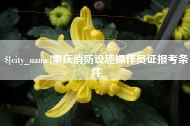 克孜勒苏重庆消防设施操作员证报考条件