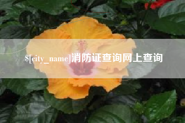克孜勒苏消防证查询网上查询