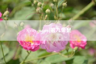 克孜勒苏第九金是
