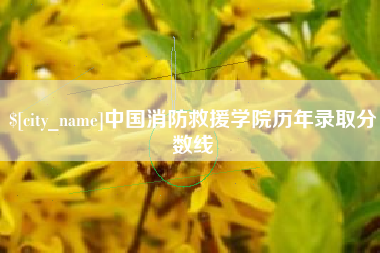 克孜勒苏中国消防救援学院历年录取分数线