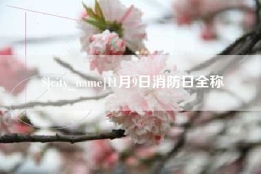 克孜勒苏11月9日消防日全称