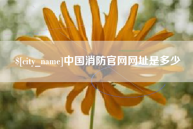 克孜勒苏中国消防官网网址是多少