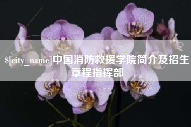 克孜勒苏中国消防救援学院简介及招生章程指挥部