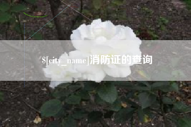克孜勒苏消防证的查询