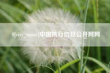 克孜勒苏中国执行信息公开网网
