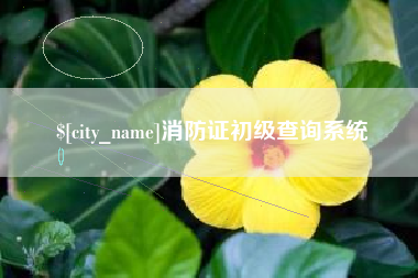 克孜勒苏消防证初级查询系统