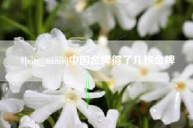 克孜勒苏中国金牌得了几枚金牌