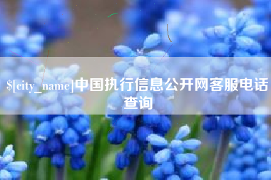 克孜勒苏中国执行信息公开网客服电话查询
