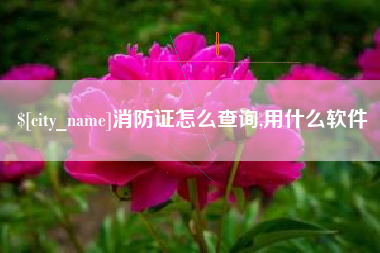 克孜勒苏消防证怎么查询,用什么软件