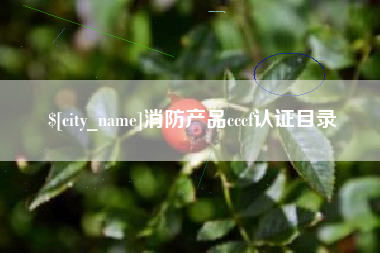克孜勒苏消防产品cccf认证目录