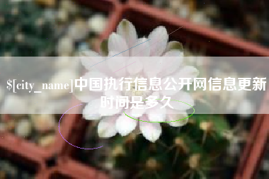 克孜勒苏中国执行信息公开网信息更新时间是多久