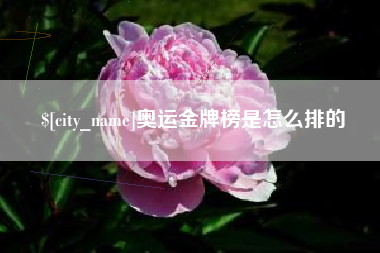 克孜勒苏奥运金牌榜是怎么排的