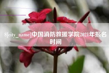 克孜勒苏中国消防救援学院2021年报名时间
