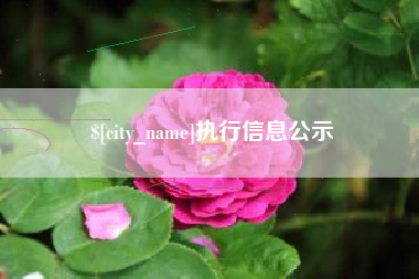 克孜勒苏执行信息公示