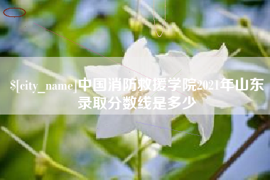 克孜勒苏中国消防救援学院2021年山东录取分数线是多少