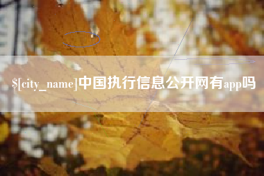 克孜勒苏中国执行信息公开网有app吗
