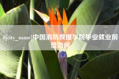 克孜勒苏中国消防救援学院毕业就业前景如何