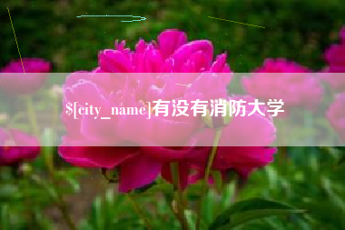 克孜勒苏有没有消防大学